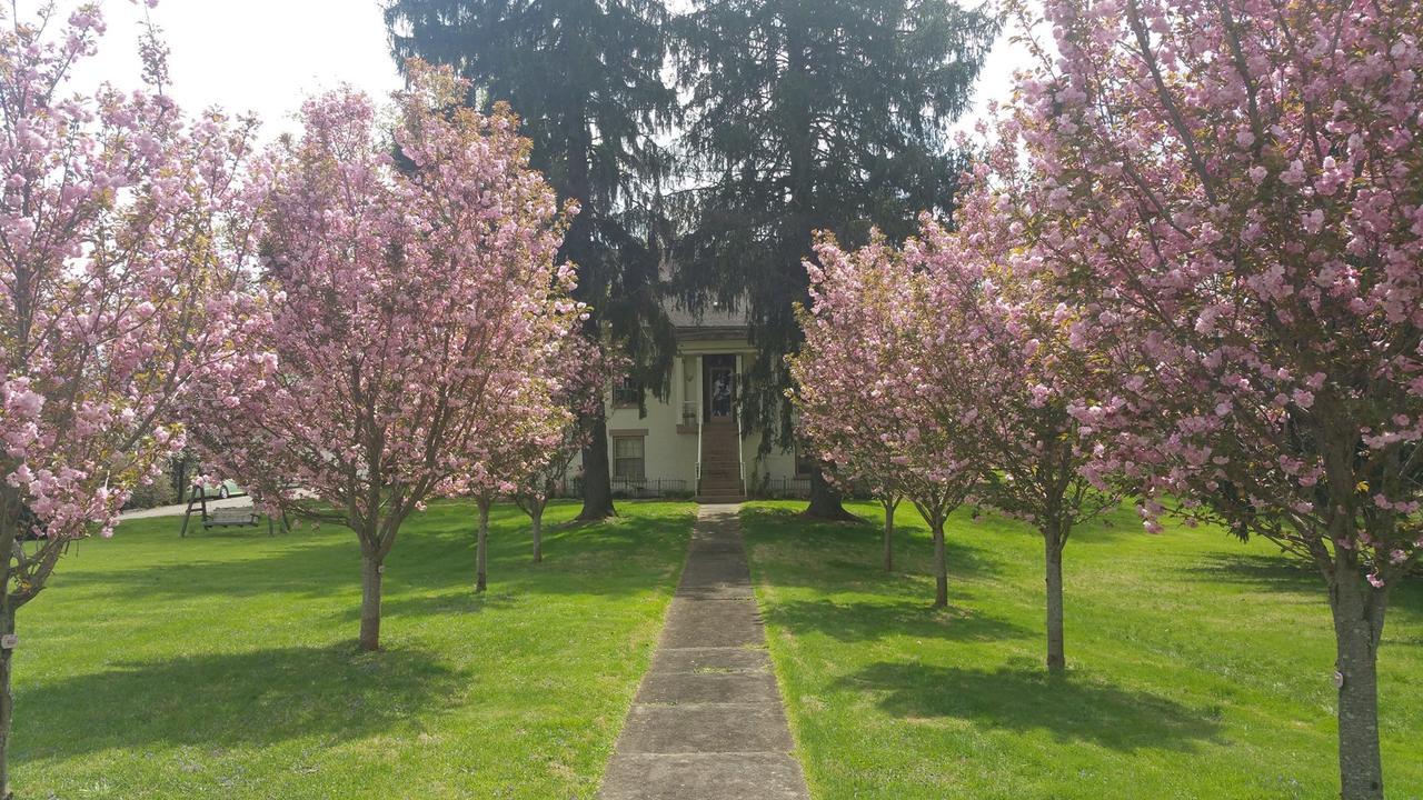The Pines Of Dresden B&B 외부 사진
